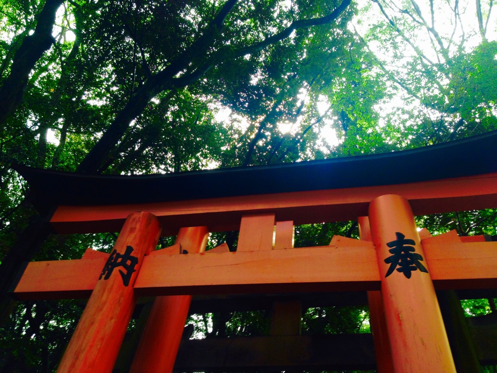 Kansai Area Highlights: Fushimi Inari Taisha and Cheese Yakisoba